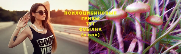 тгк Аркадак