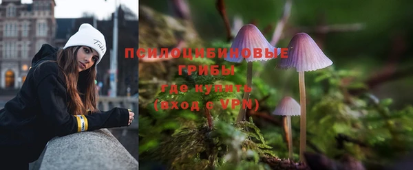 скорость Арсеньев