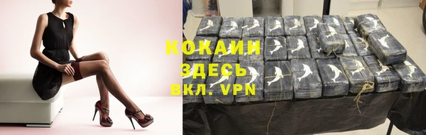 PSILOCYBIN Армянск